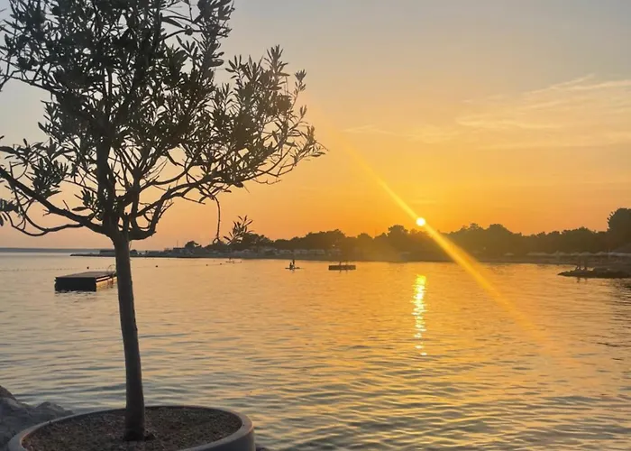 Mobilna Kucica Cissa * Šimuni